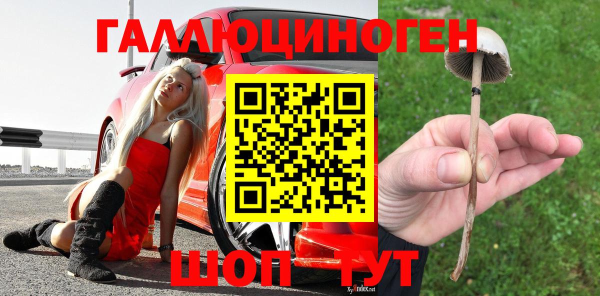 Скопин  Галлюциногенные грибы мицелий  Вход с VPN 