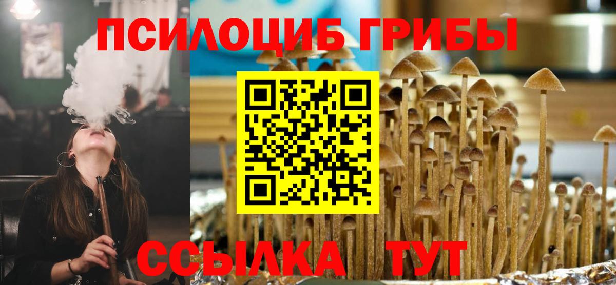Галлюциногенные грибы GOLDEN TEACHER Скопин
